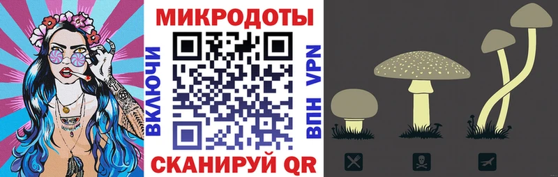 Галлюциногенные грибы прущие грибы  Великий Новгород 